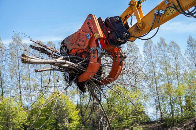 Fahrzeugabbildung Andere Westtech Woodcracker G1650 Roderechen lagernd!