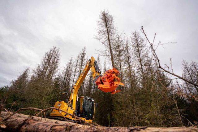 Fahrzeugabbildung Andere Westtech Woodcracker C350 Fällgreifer Baumschere