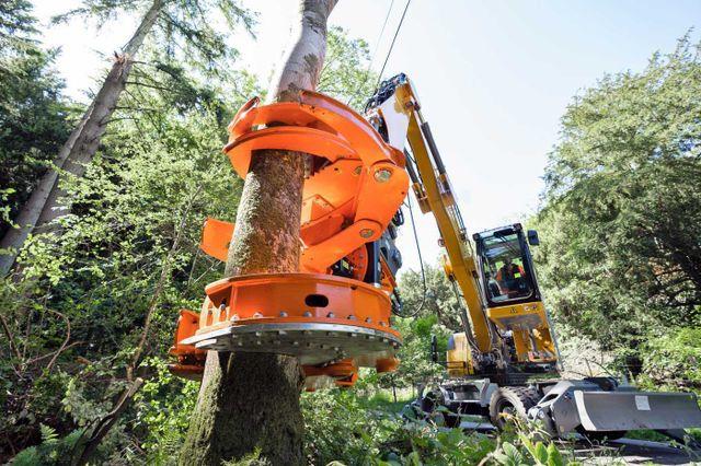 Fahrzeugabbildung Andere Westtech Woodcracker C450 Fällgreifer Baumschere