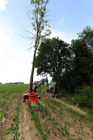 Fahrzeugabbildung Andere Westtech Woodcracker CL260 Fällkopf Fällgreifer