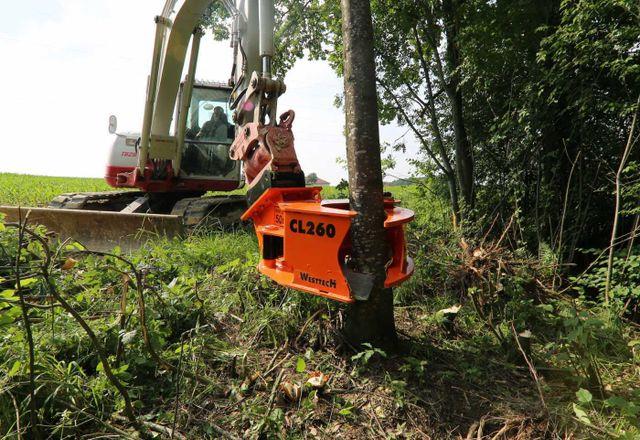 Fahrzeugabbildung Andere Westtech Woodcracker CL260 Fällkopf Fällgreifer