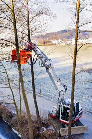 Fahrzeugabbildung Andere Westtech Woodcracker CL320 Fällkopf Fällgreifer