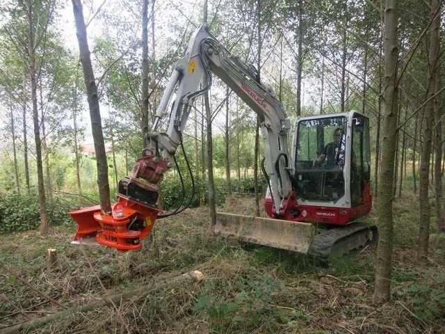 Fahrzeugabbildung Andere Westtech Woodcracker CL190 Fällkopf Fällgreifer