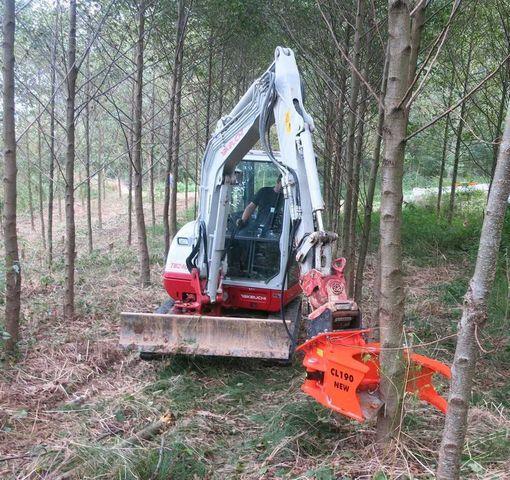 Fahrzeugabbildung Andere Westtech Woodcracker CL190 Fällkopf Fällgreifer